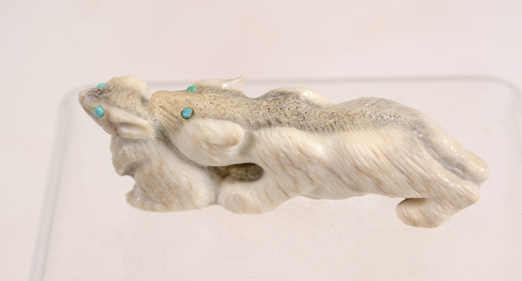 Zuni Fetish Bobcat Hunting Rabbit Fetish by Maxx Laate