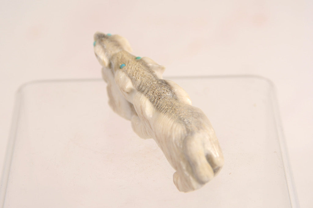 Zuni Fetish Bobcat Hunting Rabbit Fetish by Maxx Laate
