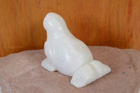 Zuni White Marble Seal Fetish by Tracey Zunie