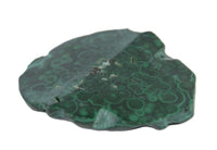 Zuni Pueblo Green Malachite Frog Fetish