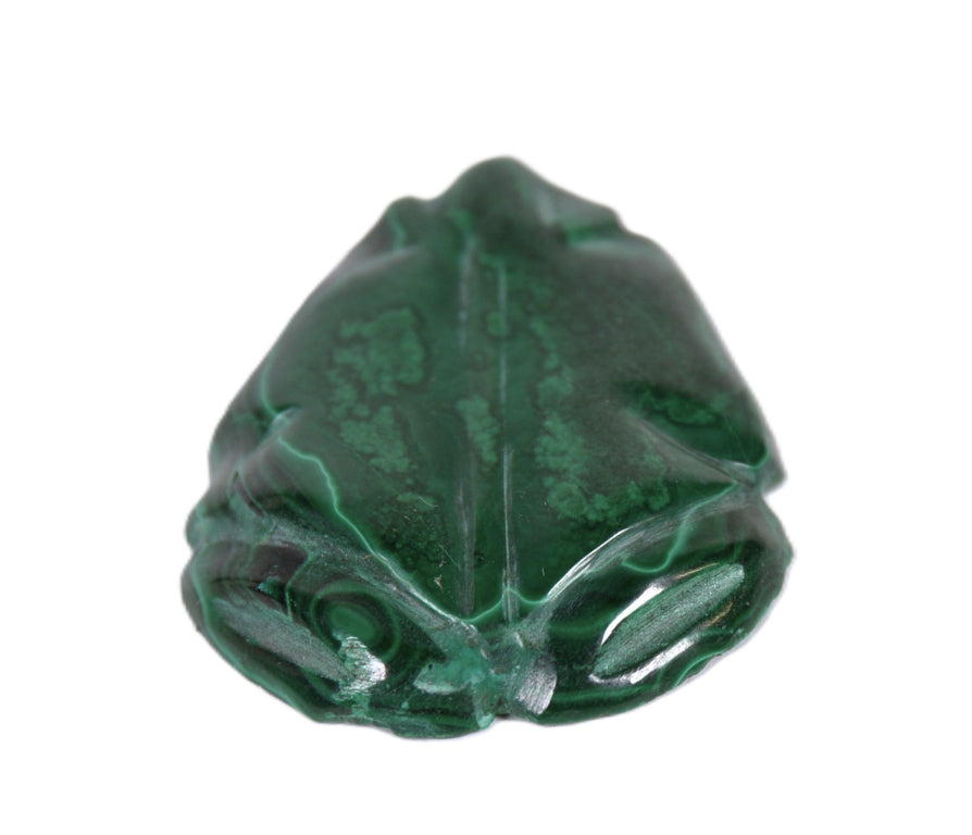 Zuni Pueblo Green Malachite Frog Fetish