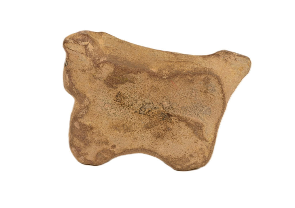 Early Zuni Pueblo Horse Fetish