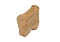 Early Zuni Pueblo Horse Fetish
