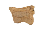 Early Zuni Pueblo Horse Fetish