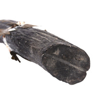 Zuni Antler Priest Fetish with Tin Ornaments