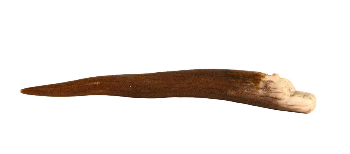 Vintage Zuni Antler Fetish -  Avanyu Water Serpent