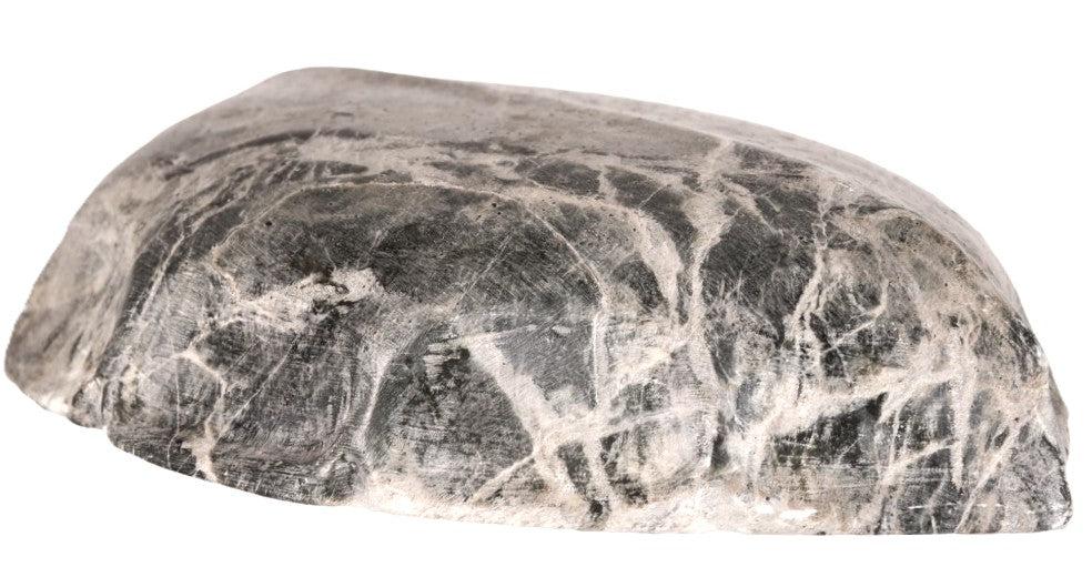 Large Sioux Turtle Steatite Fetish By Sheldon P Wolfchild