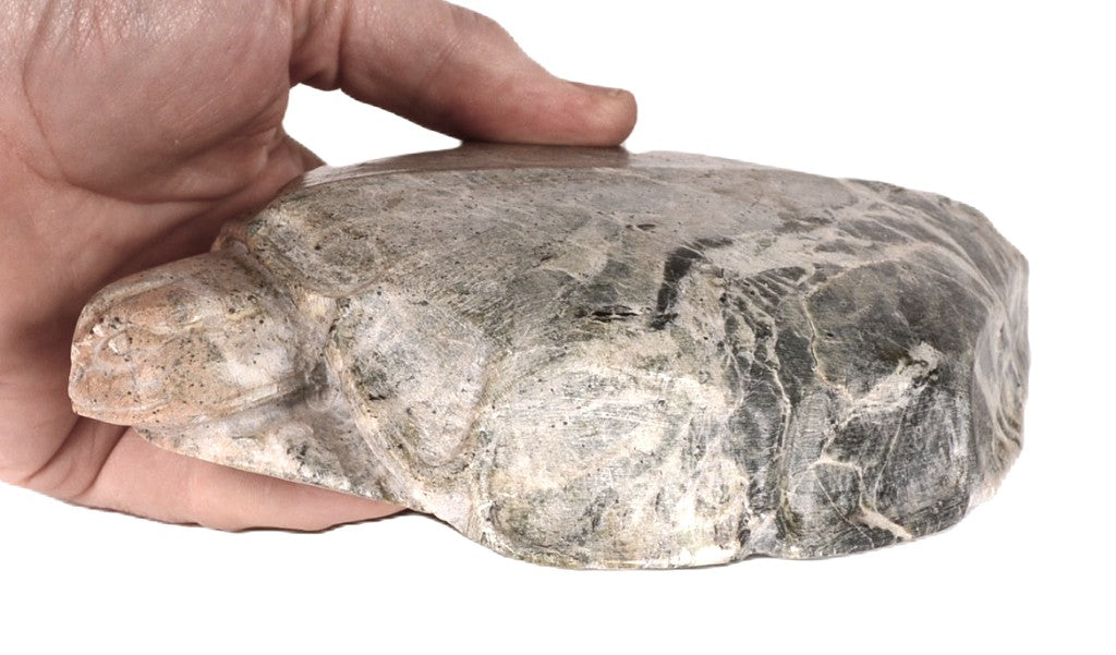 Large Sioux Turtle Steatite Fetish By Sheldon P Wolfchild