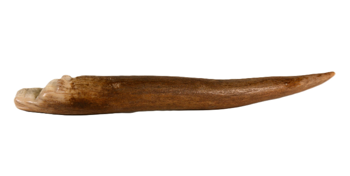Vintage Zuni Antler Fetish -  Avanyu Water Serpent