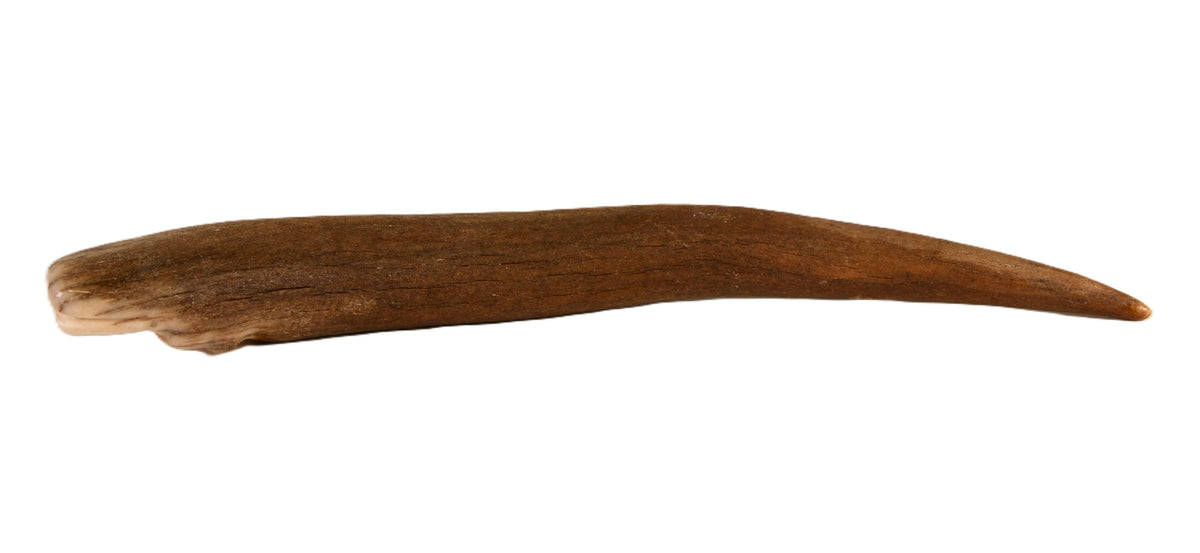 Vintage Zuni Antler Fetish -  Avanyu Water Serpent