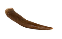 Vintage Zuni Antler Fetish -  Avanyu Water Serpent