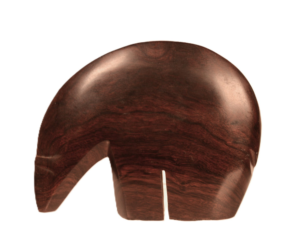 Mexico Ironwood Bear