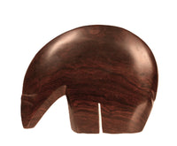 Mexico Ironwood Bear