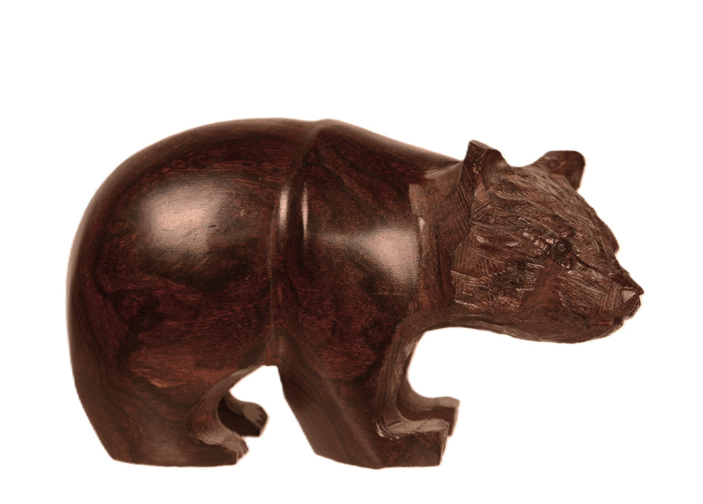 Mexico Ironwood Bear