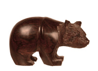 Mexico Ironwood Bear