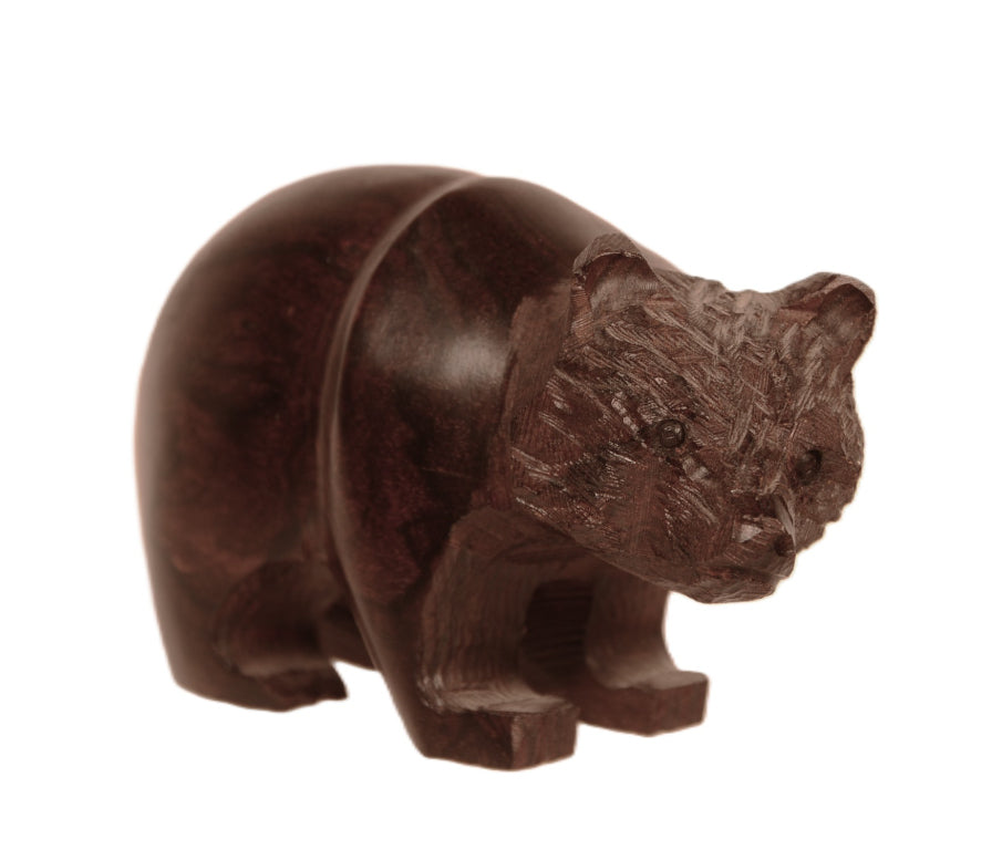 Mexico Ironwood Bear