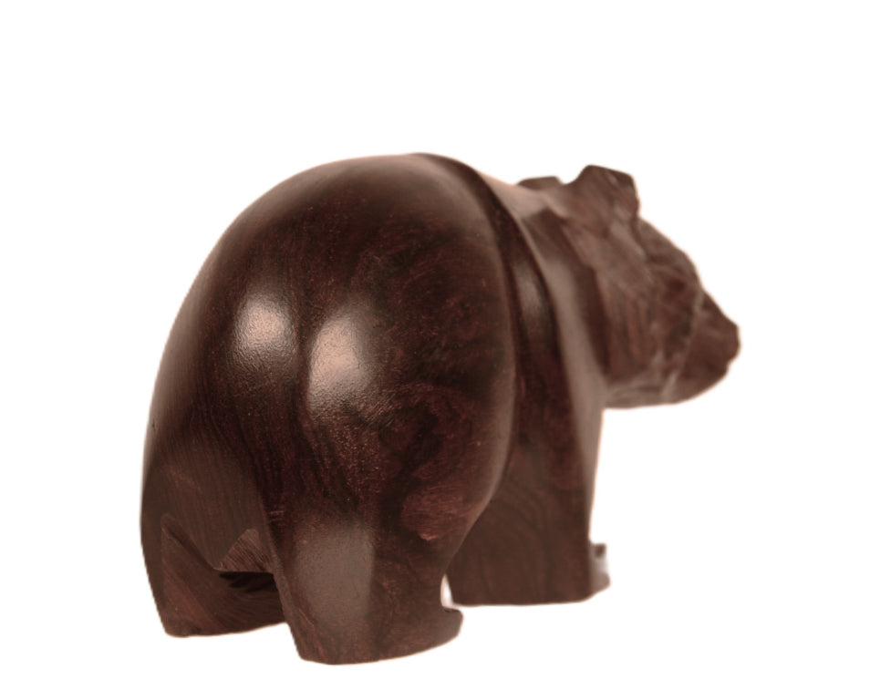 Mexico Ironwood Bear