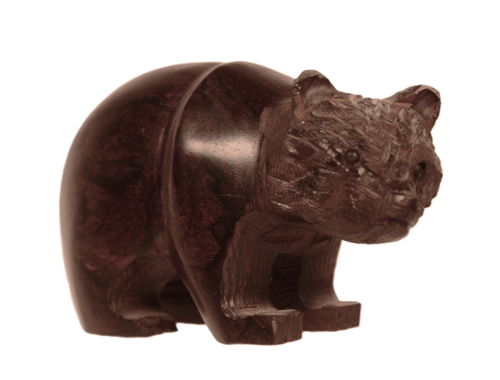 Mexico Ironwood Bear
