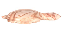 Zuni Pueblo Turtle Fetish
