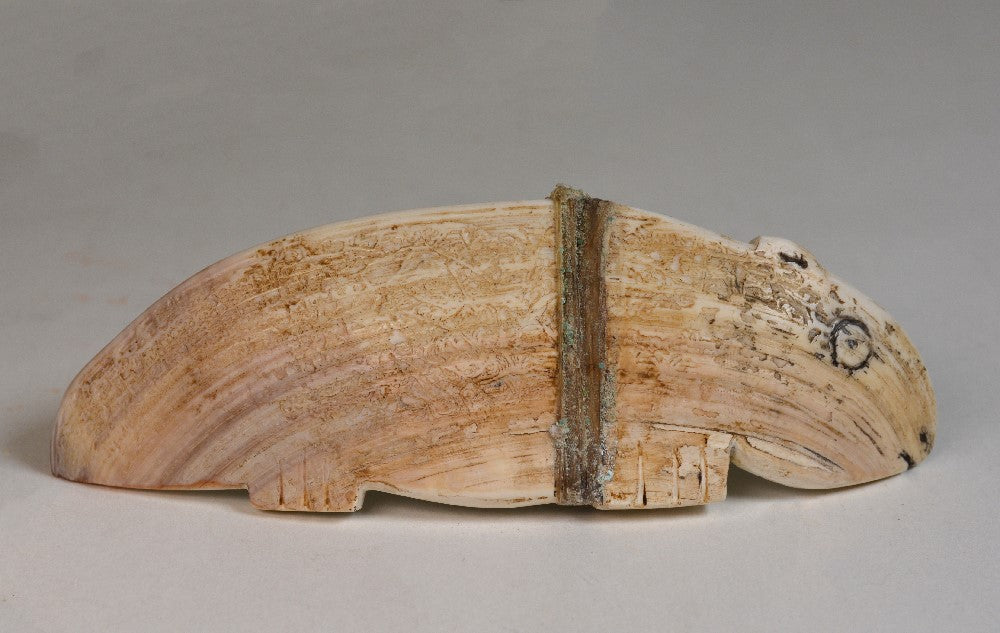 Large Mid 20th Century Zuni Shell Fetish