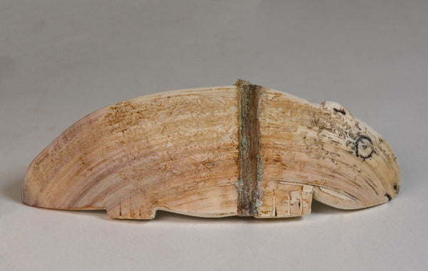 Large Mid 20th Century Zuni Shell Fetish