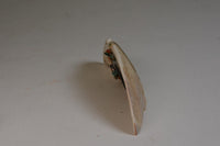 Large Mid 20th Century Zuni Shell Fetish