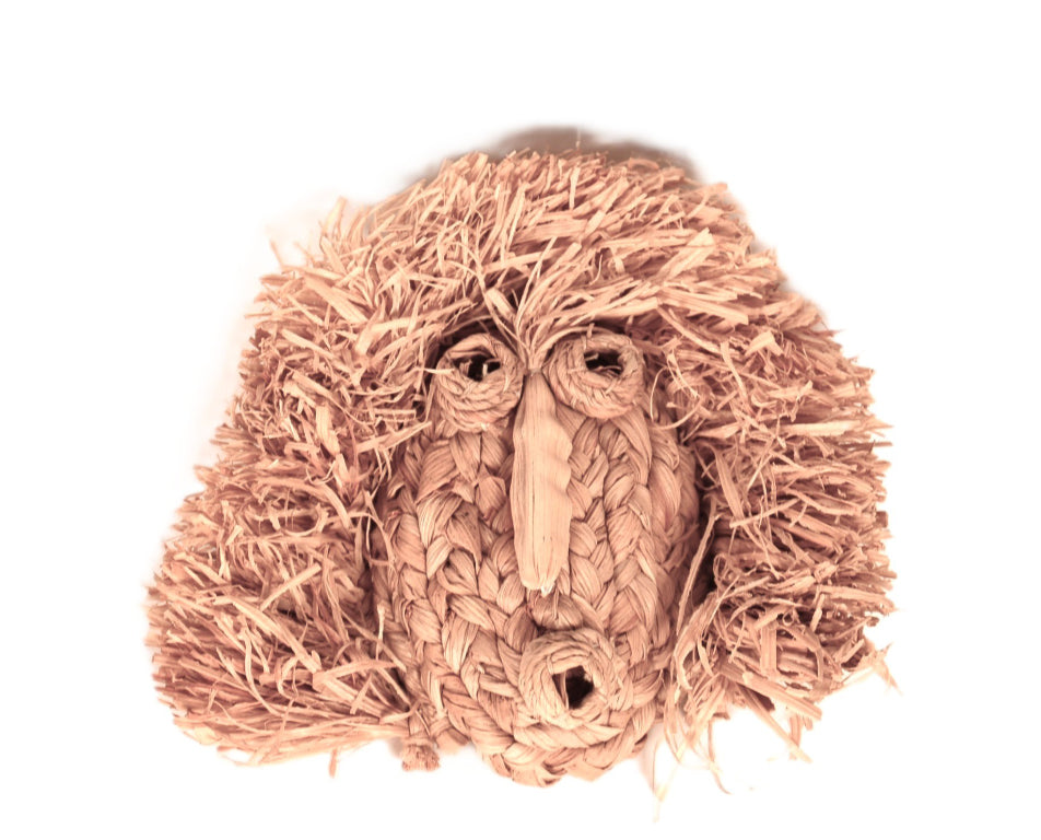 Iroquois Face Mask