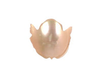 Zuni Pueblo Frog Shell Fetish