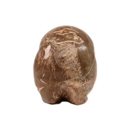 Zuni Pueblo Pig Fetish