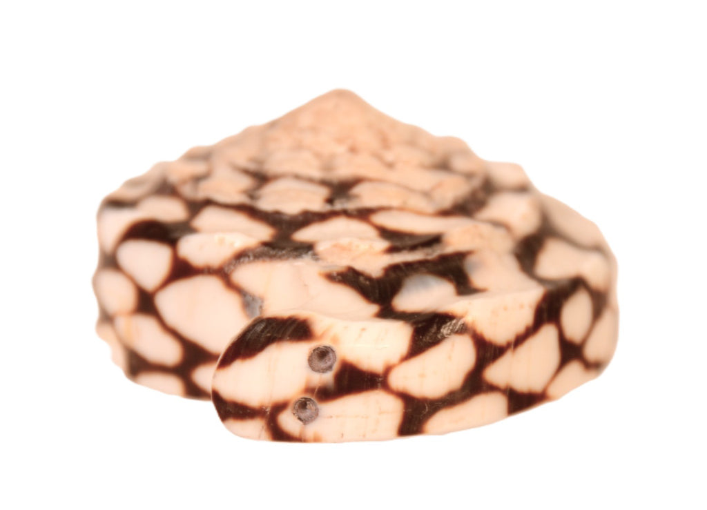 Zuni Pueblo Snake Fetish