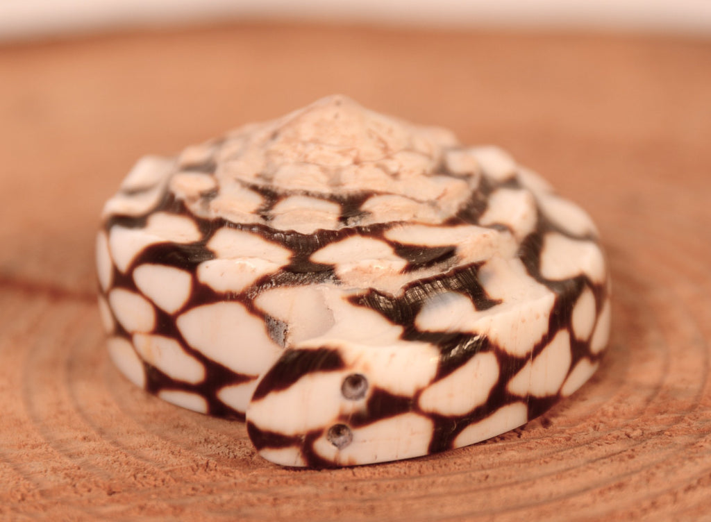 Zuni Pueblo Snake Fetish