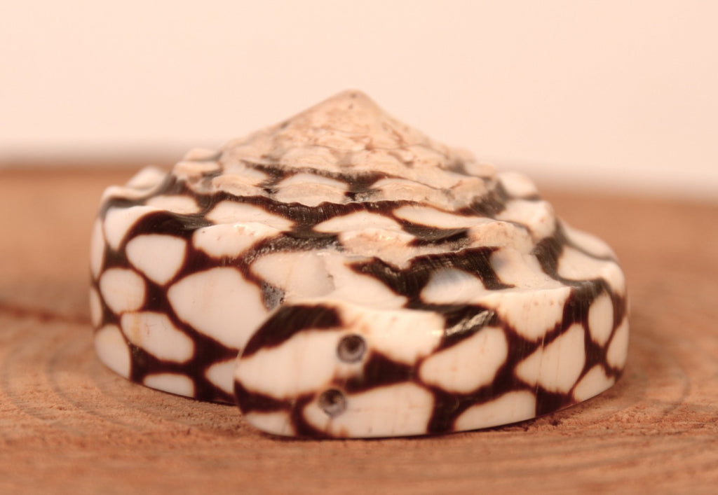 Zuni Pueblo Snake Fetish