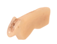 Zuni Pueblo Antler Fetish