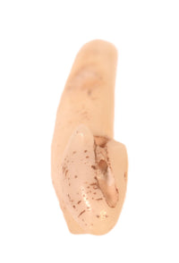 Zuni Pueblo Antler Fetish