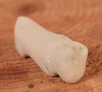 Zuni Pueblo Sparkly White Fetish