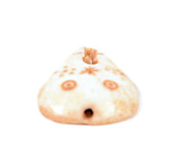 Inuit Bone Walrus Amulet