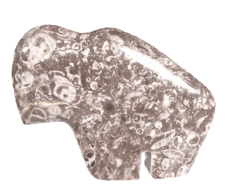 Zuni Pueblo Buffalo Fetish