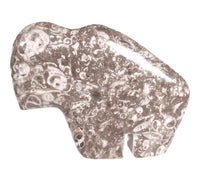 Zuni Pueblo Buffalo Fetish