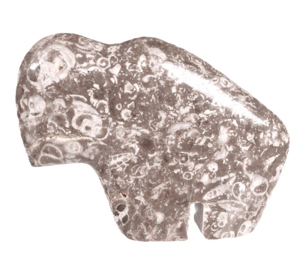 Zuni Pueblo Buffalo Fetish