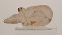 Zuni Fetish - possibly by Francis Leekya