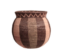Amazon Rain Forest Basket