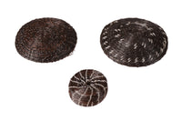 Pima Miniature Black Horsehair Tray Baskets Set of 3