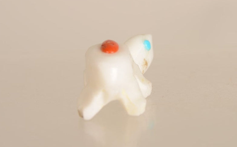 Zuni Alabaster Turtle Fetish With Coral and Turquoise
