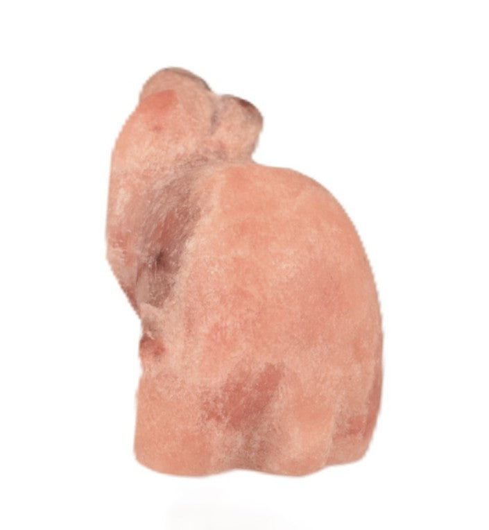 Zuni Pueblo Bear Fetish