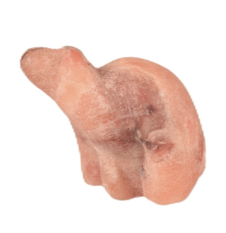 Zuni Pueblo Bear Fetish