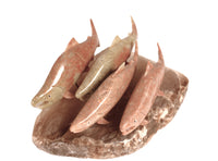 Northwest Coast Four Salmon Sculpture By Sam Dimmick