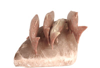 Northwest Coast Four Salmon Sculpture By Sam Dimmick