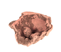 Pre-Columbian Pottery Head