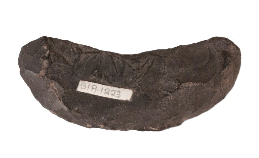 Basalt Crescent Knife, Oregon