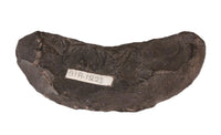 Basalt Crescent Knife, Oregon